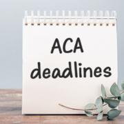 2022 deadlines for reporting health care coverage information | CPA in Washington DC | Weyrich, Cronin & Sorra