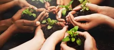 A refresher on nonprofit endowment management | accounting firm in washington dc | Weyrich, Cronin & Sorra