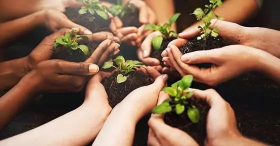 A refresher on nonprofit endowment management | accounting firm in washington dc | Weyrich, Cronin & Sorra